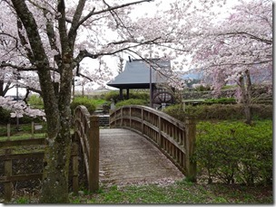 DSC00366