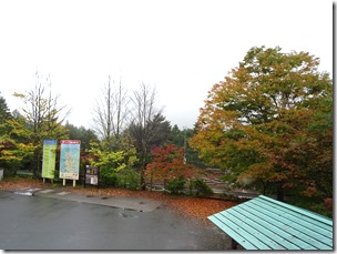 DSC04019
