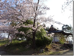 DSC00297
