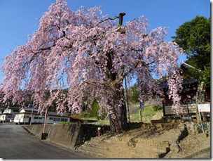 DSC00304