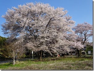 DSC00310