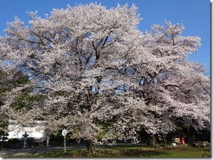 DSC00312