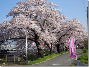 DSC00316