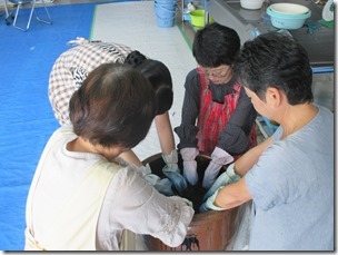 IMG_6293 IMG_6293