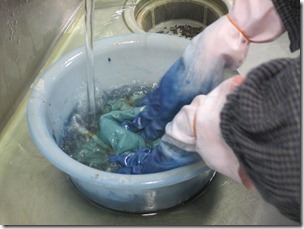IMG_6315 IMG_6315