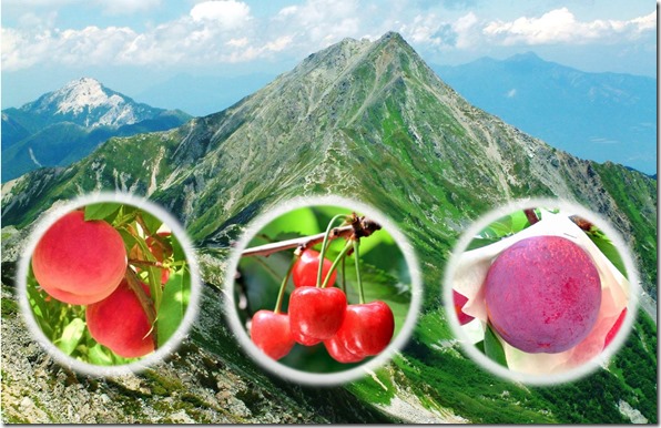 南アルプス市イメージ