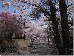 御崎神社４．１２①