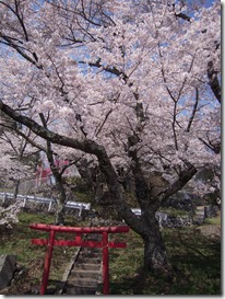 御崎神社４．１２⑤